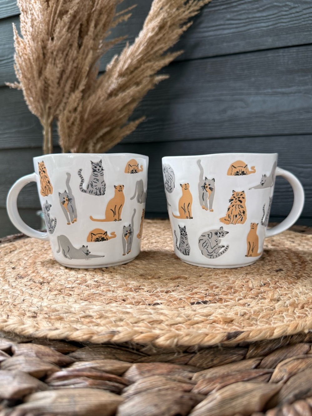 White Ceramic Cat Pattern Mug Set of 2 - Cute Orange & Gray Cat Design